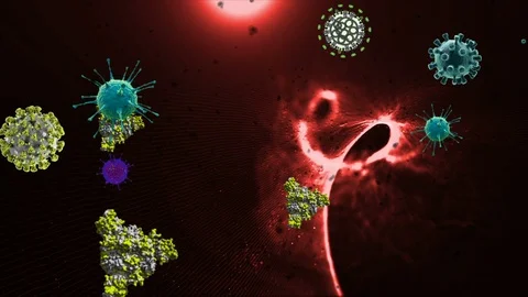 Coronavirus Cells Animation 動画素材 126803471