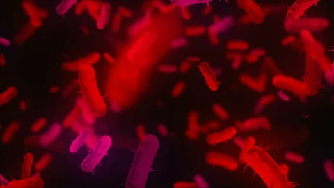 Coronavirus Cells Animation 스톡 동영상 126807079