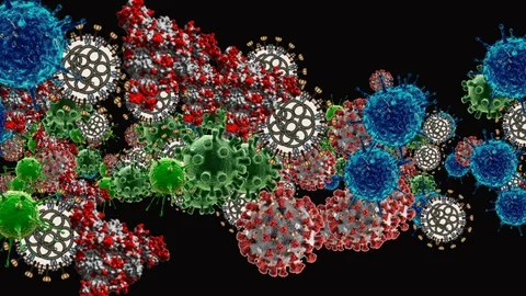 Coronavirus Cells Animation Stock Footage 126807517