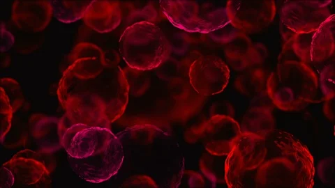 Coronavirus Cells Animation Stock Footage 126807614