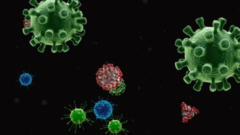 Coronavirus Cells Animation Stock Footage 126808187