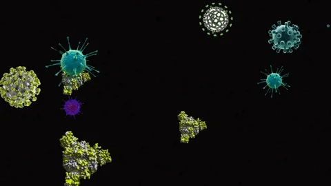 Coronavirus Cells Animation Stock-Footage 126808402