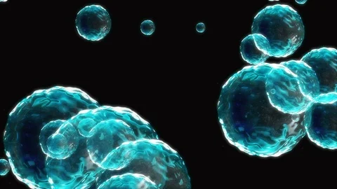 Coronavirus Cells Animation Stock Footage 126808794
