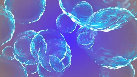 Coronavirus Cells Animation Stock Footage 126809708