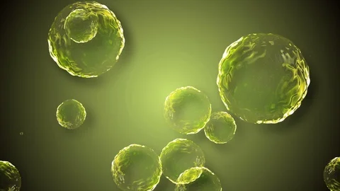 Coronavirus Cells Animation 스톡 동영상 126810771