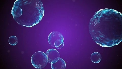 Coronavirus Cells Animation Stock Footage 126811151