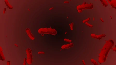 Coronavirus Cells Animation Vidéo 126812443