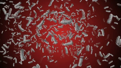 Coronavirus Cells Animation Stock Footage 126812496