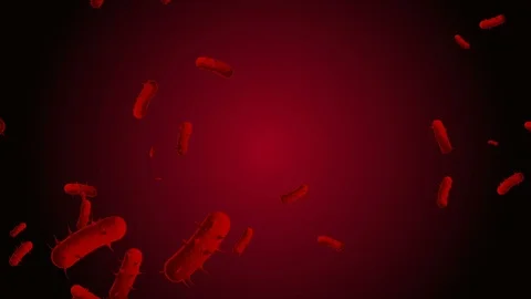 Coronavirus Cells Animation Stock Footage 126812499