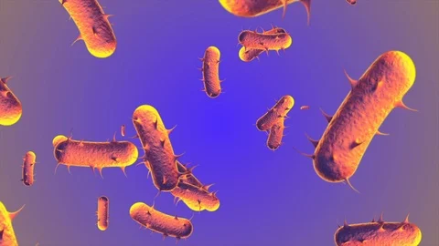 Coronavirus Cells Animation 動画素材 126812576