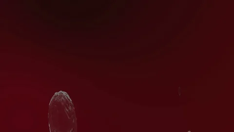 Coronavirus Cells Animation Video stock 126812647