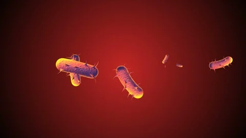Coronavirus Cells Animation 스톡 동영상 126812665