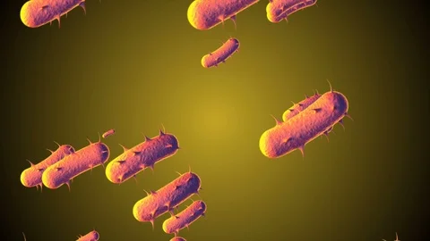 Coronavirus Cells Animation Stock Footage 126812736