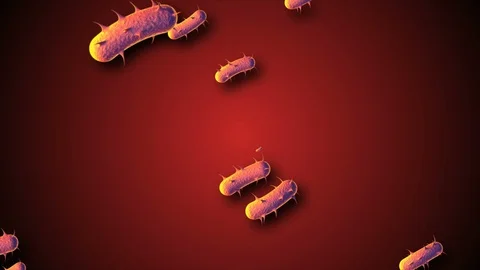 Coronavirus Cells Animation Stock Footage 126813091