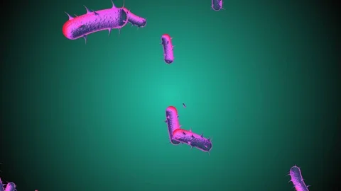 Coronavirus Cells Animation 스톡 동영상 126813223