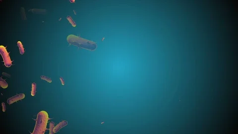 Coronavirus Cells Animation Vidéo 126813396