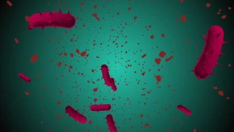 Coronavirus Cells Animation Stock-Footage 126813473
