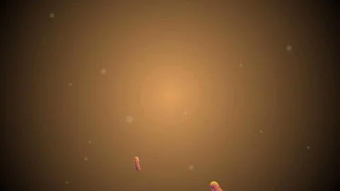 Coronavirus Cells Animation 動画素材 126813844