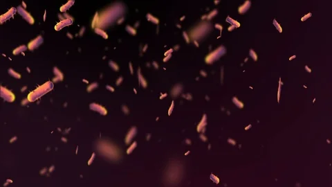 Coronavirus Cells Animation Stock Footage 126814030