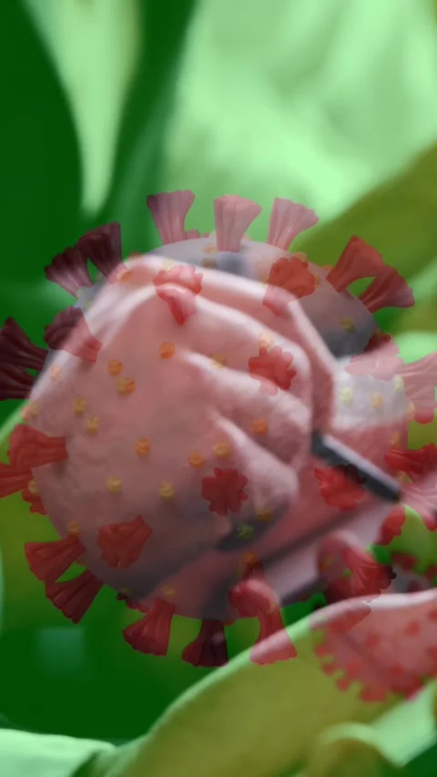 Coronavirus cells spreading over people on smartphone. Stock Footage 343499002