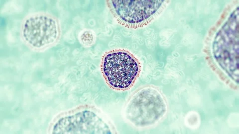 Coronavirus from China. View through a microscope for bacteria, virus, infection Stock Footage 123950846