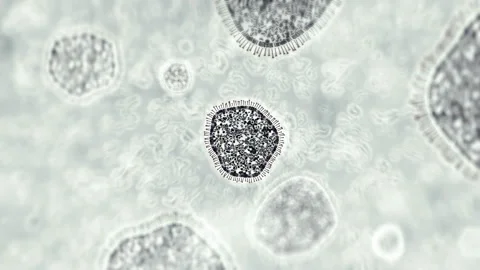 Coronavirus from China. View through a microscope for bacteria, virus, infection Stock Footage 123951285