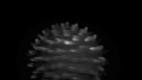 Coronavirus close up, model Stock Footage 126707121