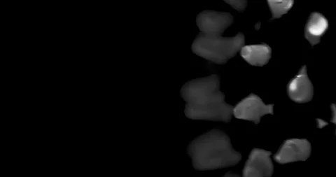 Coronavirus up close, model in motion, ntsc Stock Footage 126914208