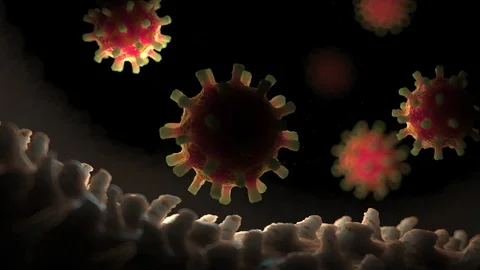 Coronavirus COVID-19 3D animation / simulation HD 29.97 FPS Stock Footage