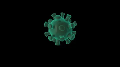 Coronavirus (Covid 19) 3d model. The realistics medical animation. Stock Footage 154888289