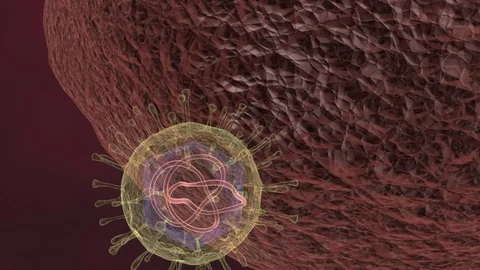 Coronavirus COVID-19 attacking Cell and Replication 3D Animation Stock-Footage 127102996