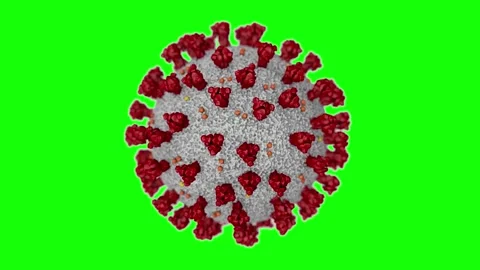 Coronavirus COVID-19 Cell Rotation on Green Screen Chroma Key Stock Footage 336703833