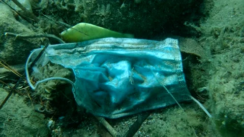 Coronavirus COVID-19 is contributing to pollution, as discarded used masks Stock Footage 148086878