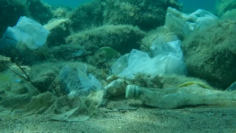 Coronavirus COVID-19 is contributing to pollution, as discarded used masks Stock Footage 153373930