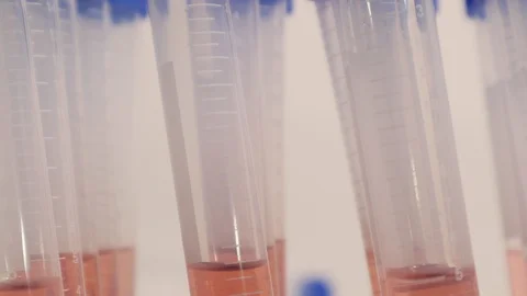 Coronavirus COVID-19 Rapid Test Pink Serum with Patient Scan Code 스톡 동영상 127794565
