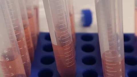 Coronavirus COVID-19 Rapid Test Serum for Nasal Swab Test Stock Footage 127794601