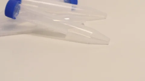 Coronavirus COVID-19 Rapid Test Pink Serum Nasal Swab Stock Footage 127794615