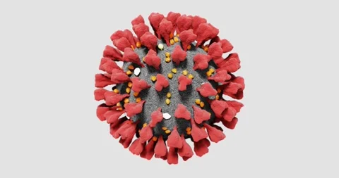 Coronavirus (COVID-19) Seamless Loop animation 3D UHD 4K, Realistic Virus Model Stock Footage 158583603