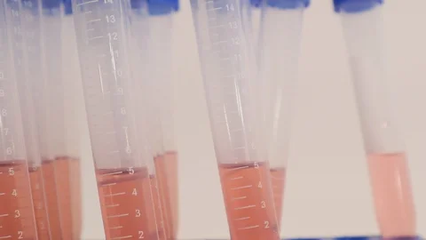 Coronavirus COVID-19 Testing Nurses Fighting Virus on Front Line Stock Footage 127794357