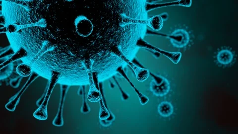 Coronavirus Covid-19, under the microscope. 3D animation. Stock Footage 126048080