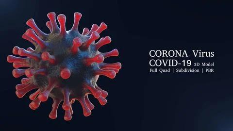 Coronavirus Covid-19 Virus 3D model 3D Model
