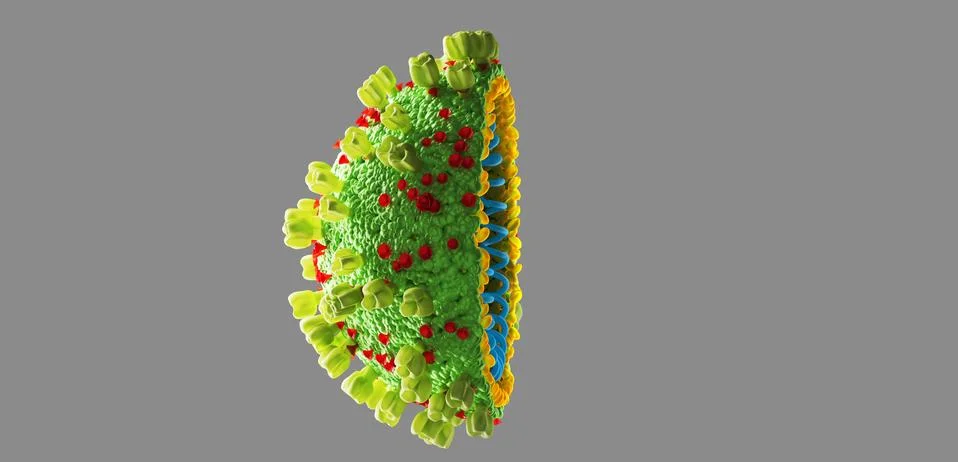 Coronavirus covid19. world epidemic. pandemic. covid-19. 3D illustration Stock Illustration