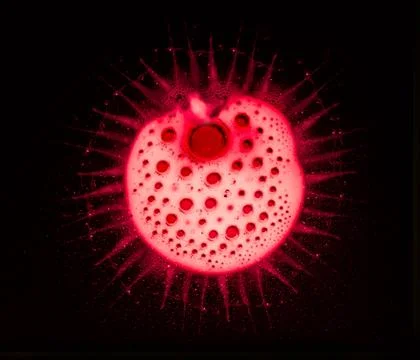 Coronavirus dangerous red cell background, conceptual composition Stock Illustration