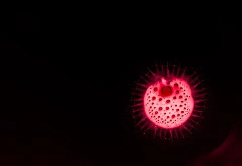 Coronavirus dangerous red cell background, conceptual composition Stock Illustration