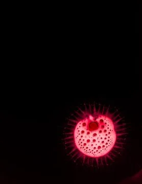 Coronavirus dangerous red cell background, conceptual composition Stock Illustration