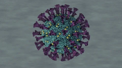 Coronavirus false colour style 3D looping rotation with alpha matte Stock Footage 142933951