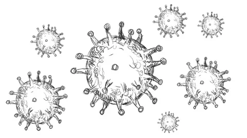 Coronavirus Floating Cells Drawing 2D Animation Stock Footage 127009584