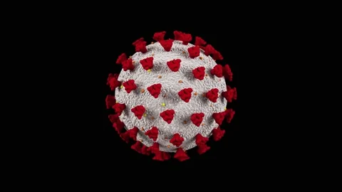 Coronavirus Stock-Footage 137535278