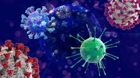 Coronavirus Stock Footage 297203316