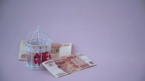 The coronavirus has been planted in a cage. Money bills are pouring from above Stock Footage 167993062